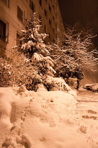 20100118_098.jpg - Zima udeřila naplno. Je další víkendová noc a zase padá.